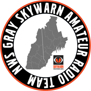 Grey SKYWARN logo